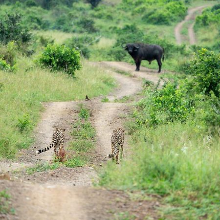 Sungulwane Private Game Lodge Hluhluwe Eksteriør bilde
