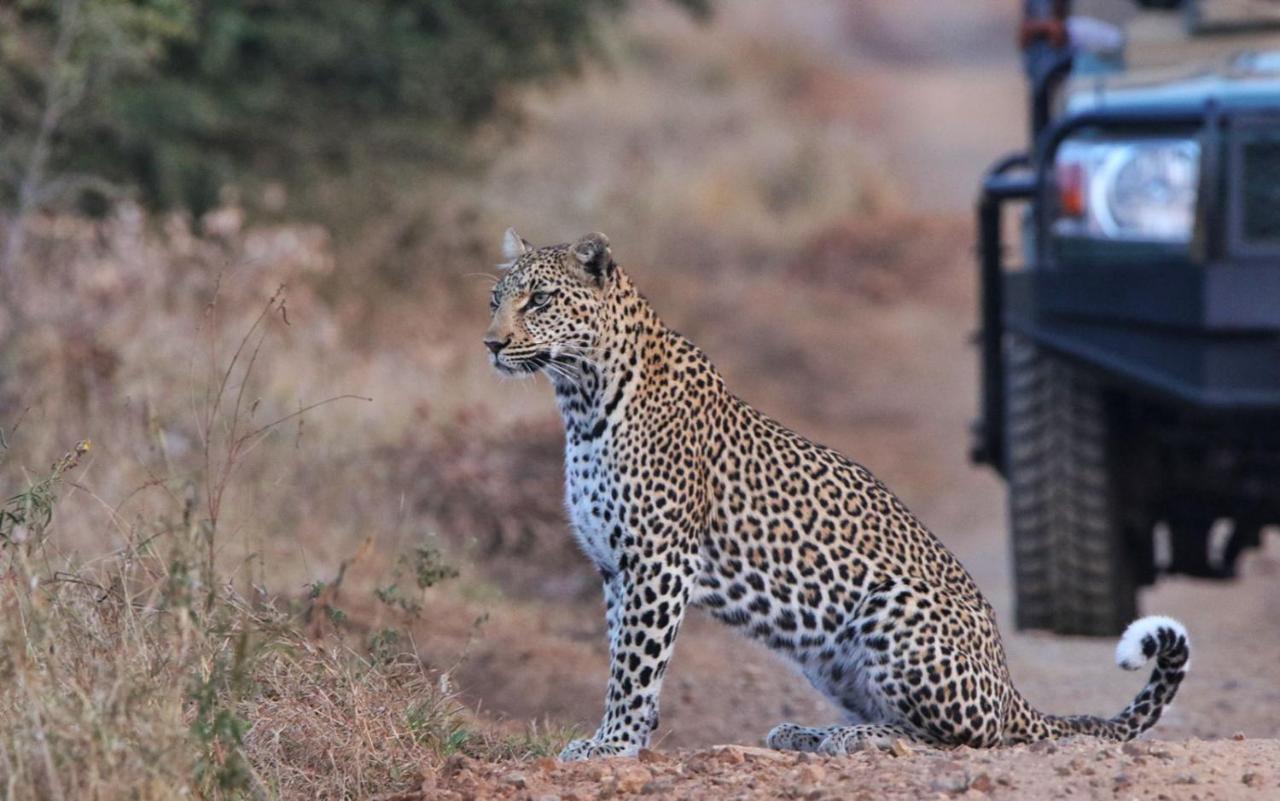 Sungulwane Private Game Lodge Hluhluwe Eksteriør bilde