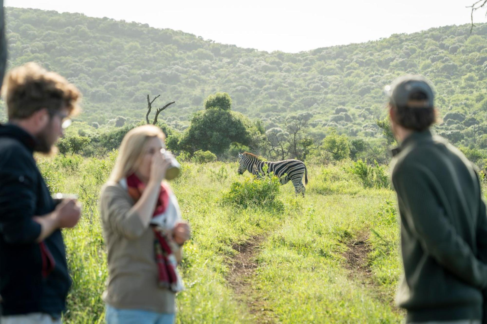 Sungulwane Private Game Lodge Hluhluwe Eksteriør bilde